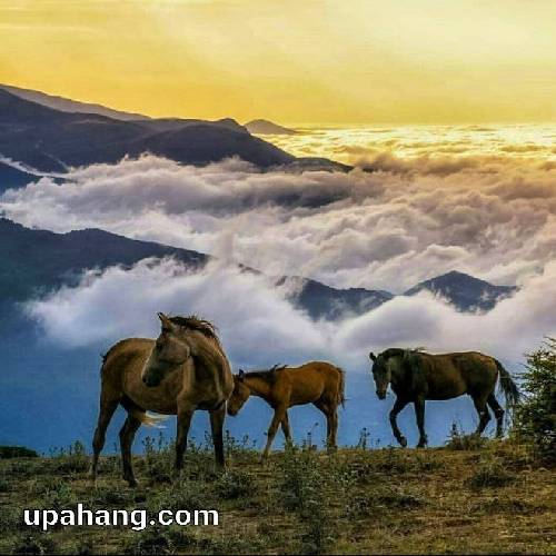 دانلود آهنگ توی یک دیوار سنگی دو تا پنجره اسیرن گوگوش
